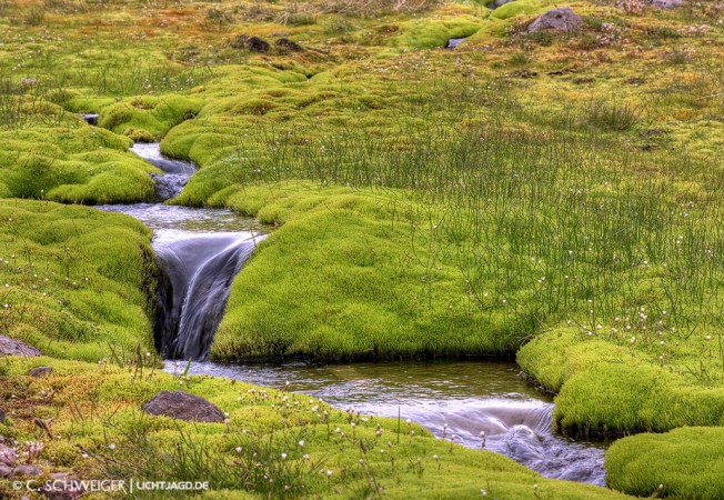 Iceland-Green.jpg