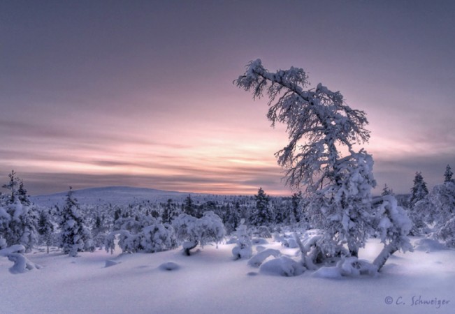 Lapland.jpg