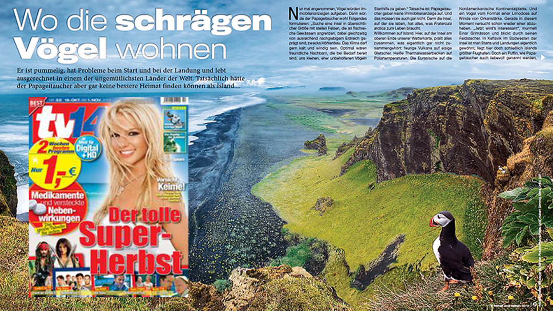 tv 14 - Wo die schrägen Vögel wohnen