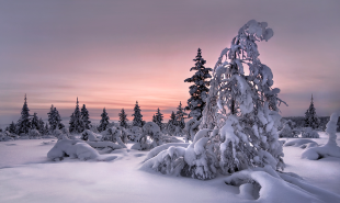 1106 Lappland Winterwunderwelt